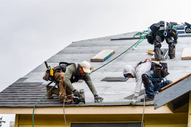 Professional Gutter Installation technician working in Hampton, IL